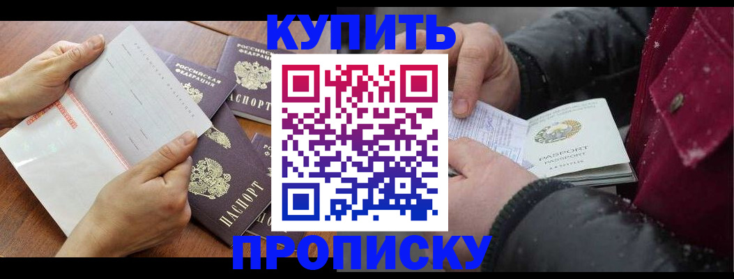 прописка законно в Бийске